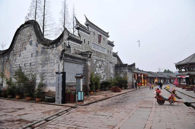 茶叶含有什么化学成分?游戏画面